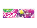 UHA味覚糖 ぷっちょスティック とろけるグレープ 10粒