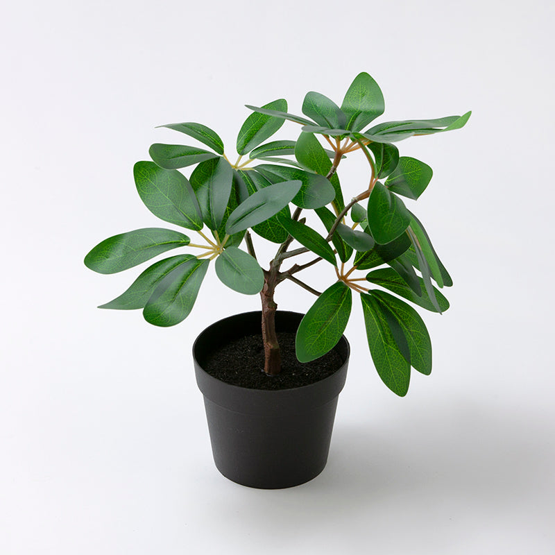 フェイクグリーン（ヤドリフカノキ） - 100均 通販 ダイソーネット