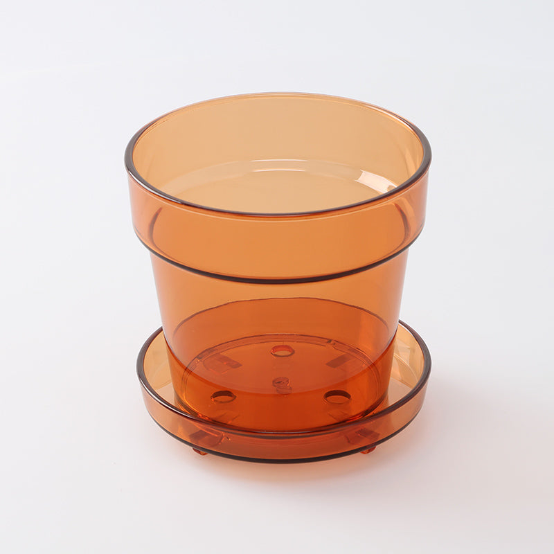 Taiwan Gold 'Taiwan Orange' 5号クリア鉢付 トレイ付植木鉢（クリアアンバー） - 100均 通販 ダイソーネットストア