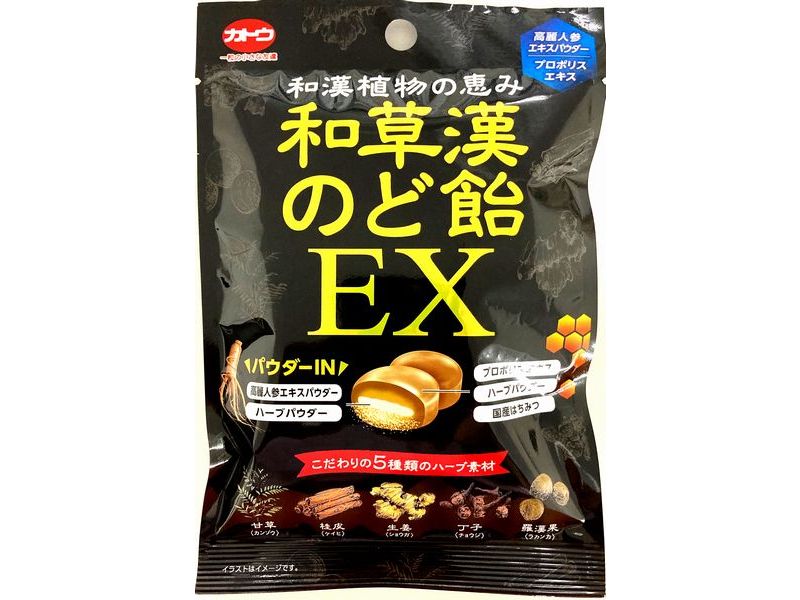 加藤製菓 和草漢のど飴EX 45g - 100均 通販 ダイソーネット