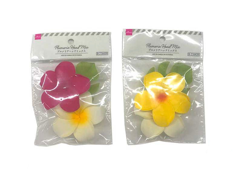 ミミ　プルメリア ミミ プルメリア Named Cultivars — Jim Little Plumeria JAPAN