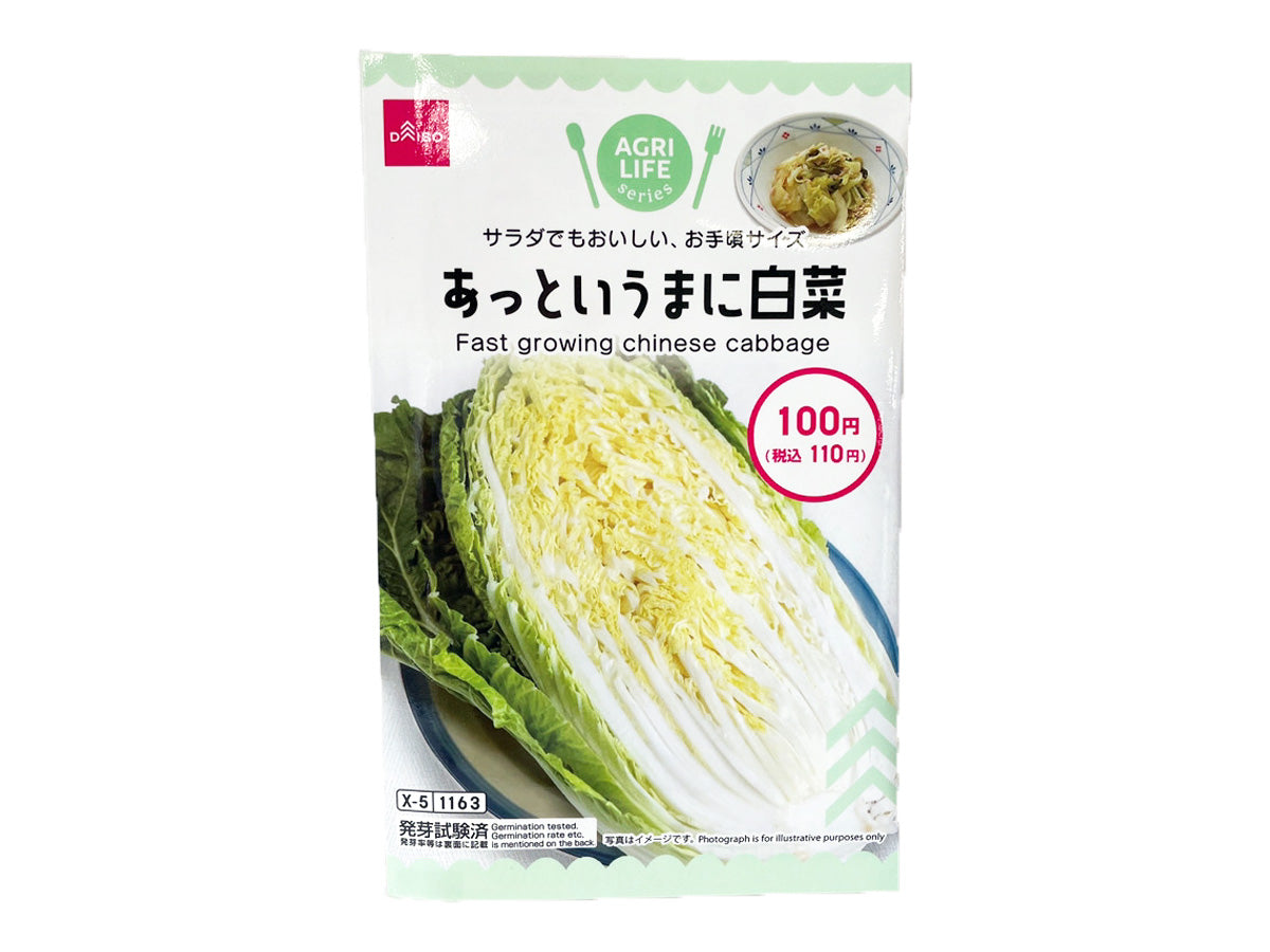 白菜 そのまま使える白菜 500G: 農産品 KANTO EXPRESS