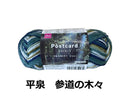 毛糸(ポストカード ドゥ―、平泉 参道の木々)