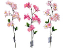 八重桜