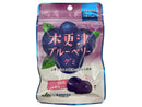カネカ JA木更津ブルーベリーグミラブレ乳酸菌入 40g