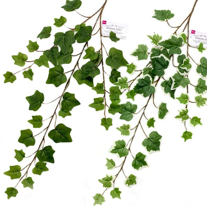 1zeBlkklBsLB7C7igbjhxaRHKXEabB