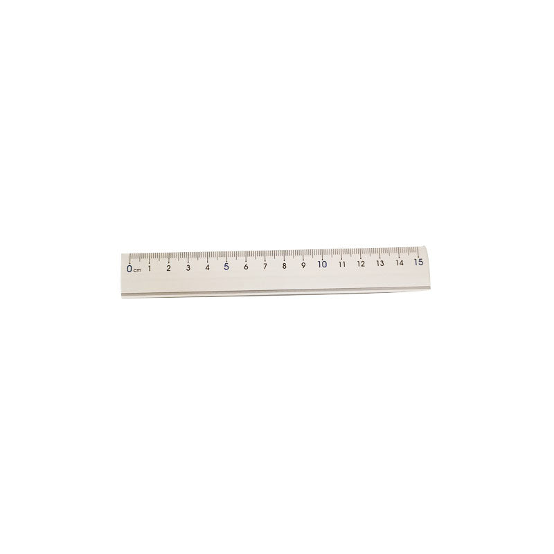 期間限定！最安値挑戦】 30cm定規 アルミ製 すべり止めクッション付 100円ショップ 100円均一 100均一 100均 
