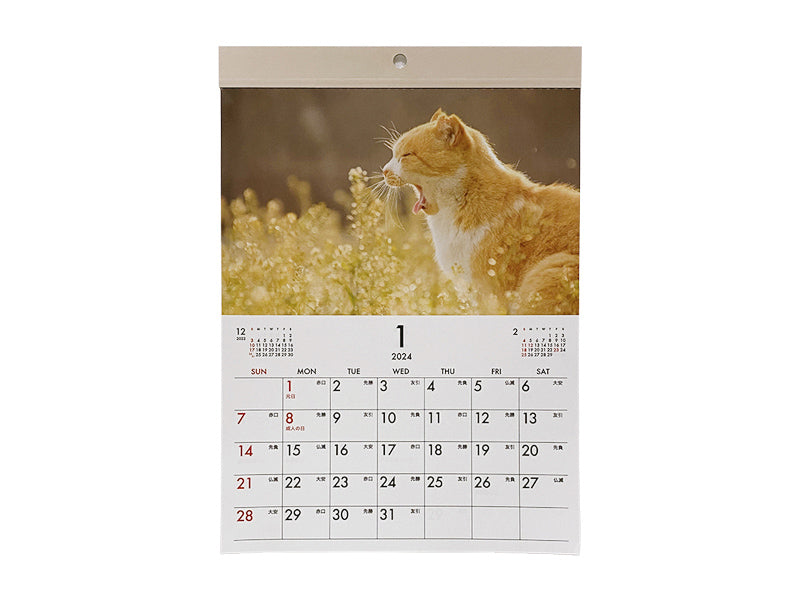 ダイソー DAISO 2024年 卓上カレンダー ねこ ネコ 猫 新品未使用