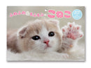 ２０２７年壁掛けカレンダー（ふわふわ＆もふもふ、こねこ）