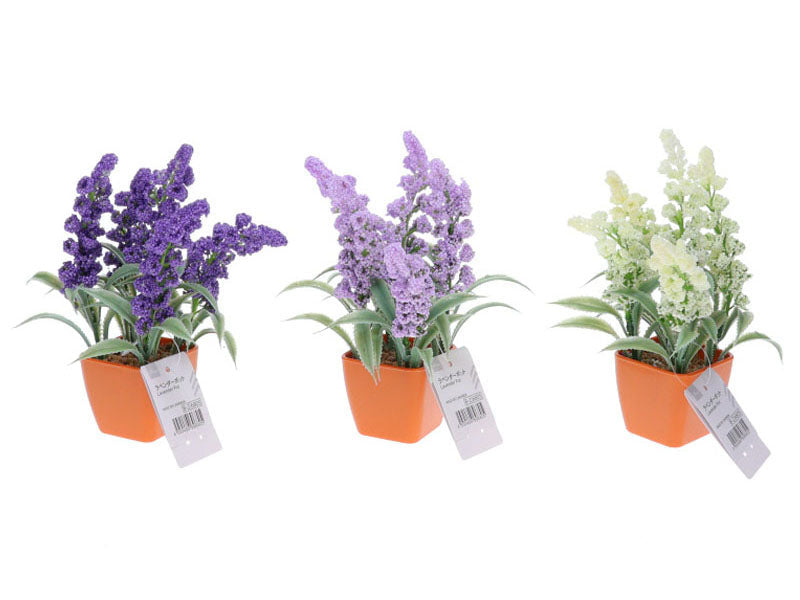 ラベンダーポット