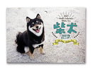 ２０２７年壁掛けカレンダー（柴犬）