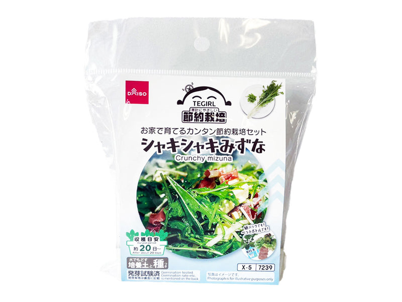 栽培セット　シャキシャキみずな