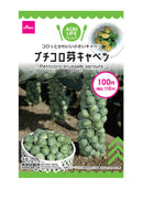 プチコロ芽キャベツ