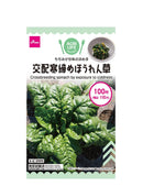 交配寒締めほうれん草
