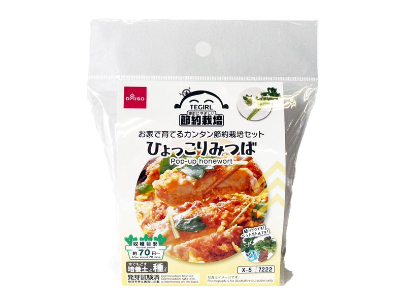 栽培セット　ひょっこりみつば