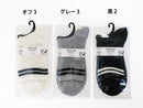 レギュラーソックス（シンプルベーシック、メッシュ、２本ライン