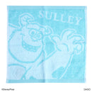 タオルハンカチ（ピクサー）Ａ、ＭＣ、ＤＣ４