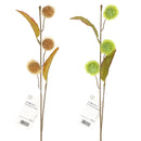 ミニ栗スプレー