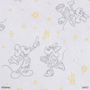 フタ付収納ボックス（ミッキー＆ミニー）ＤＣ６