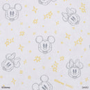 フタ付収納ボックス（ミッキー＆ミニー）ＤＣ６