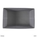 収納ボックス、カラーＢＯＸ対応（ミッキー＆ミニー）ＤＣ６