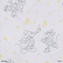 収納ボックス、カラーＢＯＸ対応（ミッキー＆ミニー）ＤＣ６