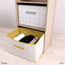 収納ボックス、カラーＢＯＸ対応（ミッキー＆ミニー）ＤＣ６