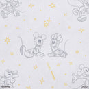 収納ボックス、１／３サイズ（ミッキー＆ミニー）ＤＣ６