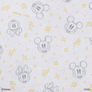 収納ボックス、１／３サイズ（ミッキー＆ミニー）ＤＣ６