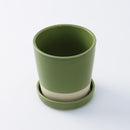 陶器植木鉢（ＧＲ）直径１２ｃｍ