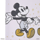 アートパネル、（ミッキー＆ミニー）ＤＣ６