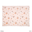 毛布（チップ＆デール）ＤＣ９