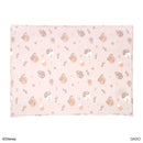 毛布（チップ＆デール）ＤＣ９