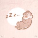 毛布（チップ＆デール）ＤＣ９