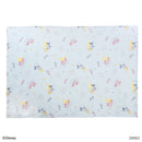 毛布（ミッキー・ミニー）ＤＣ９