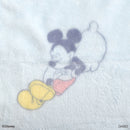 毛布（ミッキー・ミニー）ＤＣ９