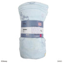 毛布（ミッキー・ミニー）ＤＣ９