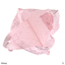 折りたたみトートエコバッグ、ＰＫ（塔の上のラプンツェル）