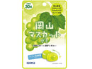 カネカ　岡山マスカットグミラブレ乳酸菌入り　３０ｇ