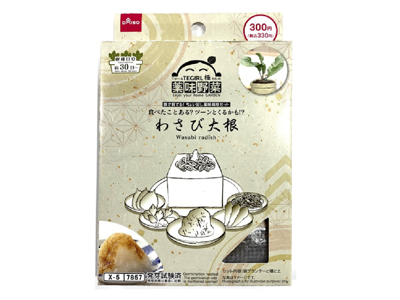 栽培セット　わさび大根