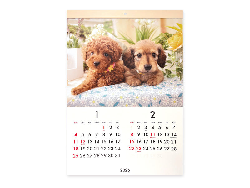 ２０２６年フォトカレンダー（Ｂ３、犬）