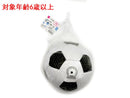 サッカーボール