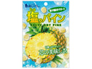 味源　塩っパイン　２４ｇ
