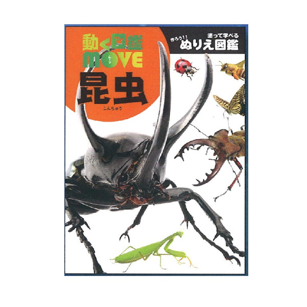 送料込　昆虫キッズ  Around  KYOTO  自主盤CD-R　新品 送料込 昆虫キッズ Around KYOTO 自主盤CD-R 新品 昆虫キッズ☆自主制作
