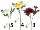 ショート菊