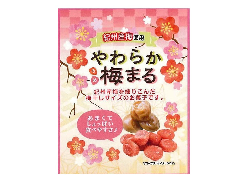 上野珍味　やわらか梅まる　１９ｇ