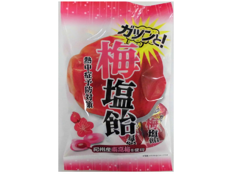 大阪屋製菓 梅塩飴 ８０ｇ