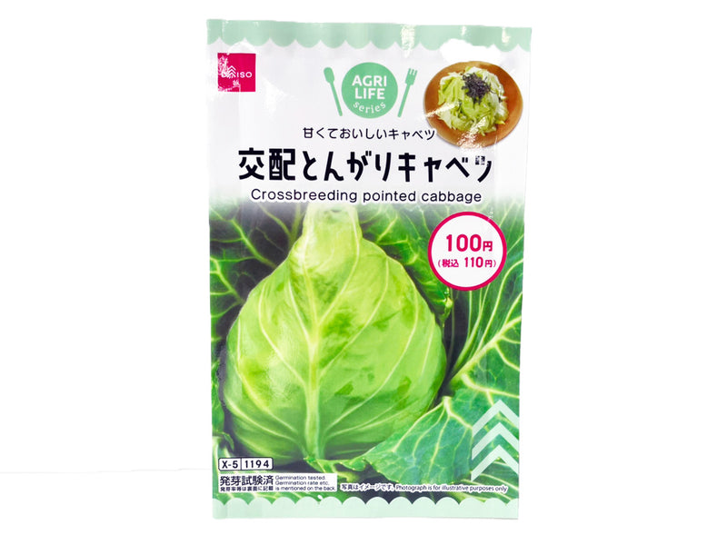 交配とんがりキャベツ