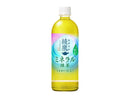 コカ・コーラ　綾鷹ミネラル緑茶　６５０ｍｌ