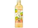 サントリー　伊右衛門　うめ茶　６００ｍｌ
